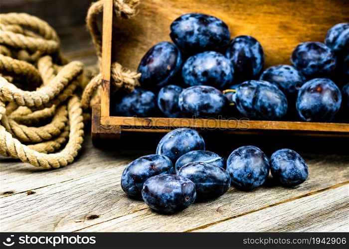 Ripe blue plums in a wooden crate in a rustic composition.. Ripe blue plums in a wooden crate in a rustic composition.