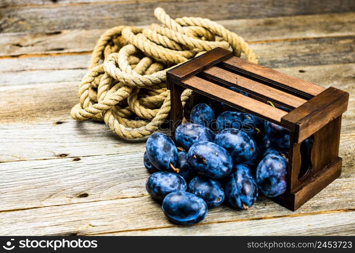 Ripe blue plums in a wooden crate in a rustic composition.. Ripe blue plums in a wooden crate in a rustic composition.