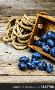 Ripe blue plums in a wooden crate in a rustic composition.. Ripe blue plums in a wooden crate in a rustic composition.