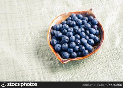 Ripe blueberry in plate on canvas colorized image