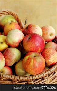 Ripe bright ripe apples in a basket