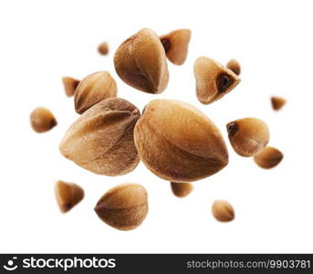 Ripe buckwheat grains levitate on a white background.. Ripe buckwheat grains levitate on a white background
