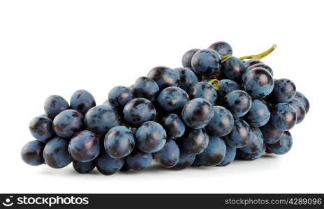 Ripe bunch of blue grapes isolated on white background