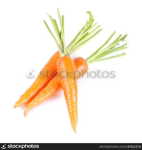 Ripe carrots isolated on a white background