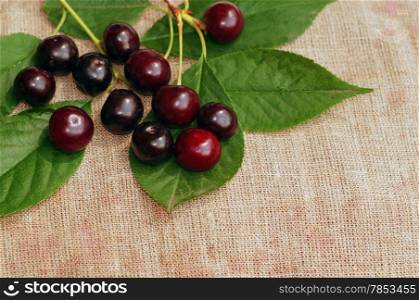 Ripe cherry on the rough fabric as the background