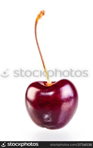 ripe cherry with an elegant wand