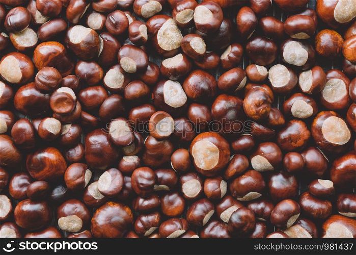 Ripe chestnuts close up. Raw Chestnuts for Christmas. Fresh sweet chestnut. Castanea sativa top wiew. Food autumn background.. Ripe chestnuts close up. Raw Chestnuts for Christmas. Fresh sweet chestnut. top wiew. Food autumn background.