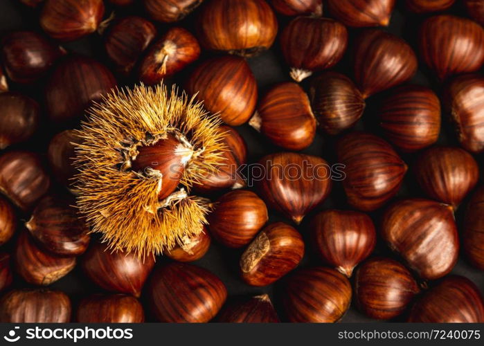 Ripe chestnuts close up. Raw Chestnuts for Christmas. Fresh sweet chestnut. Food background. Brown theme.. Ripe chestnuts close up. Raw Chestnuts for Christmas. Fresh sweet chestnut. Food background.