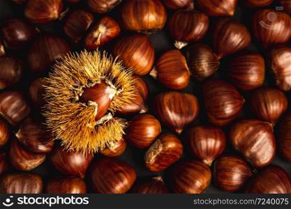 Ripe chestnuts close up. Raw Chestnuts for Christmas. Fresh sweet chestnut. Food background. Brown theme.. Ripe chestnuts close up. Raw Chestnuts for Christmas. Fresh sweet chestnut. Food background.