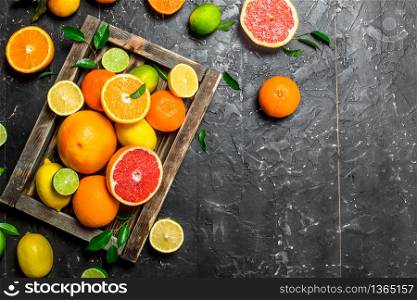 Ripe citrus fruits with leaves in a tray. On black rustic background. Ripe citrus fruits with leaves in a tray.