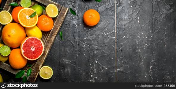 Ripe citrus fruits with leaves in a tray. On black rustic background. Ripe citrus fruits with leaves in a tray.