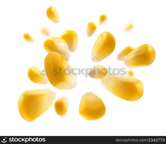 Ripe corn grains levitate on a white background.. Ripe corn grains levitate on a white background