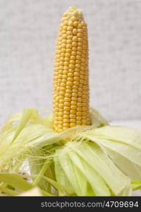 Ripe corn on the cob, Isolated on white background