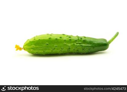 Ripe cucumber isolated on a white background
