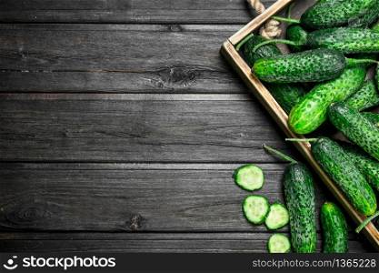 Ripe cucumber on a tray. On wooden background. Ripe cucumber on a tray.