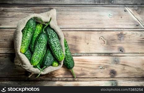 Ripe cucumbers in an sack. On wooden background. Ripe cucumbers in an sack.