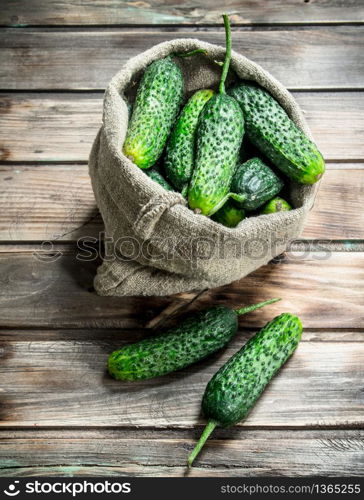 Ripe cucumbers in an sack. On wooden background. Ripe cucumbers in an sack.