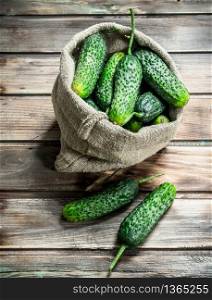 Ripe cucumbers in an sack. On wooden background. Ripe cucumbers in an sack.