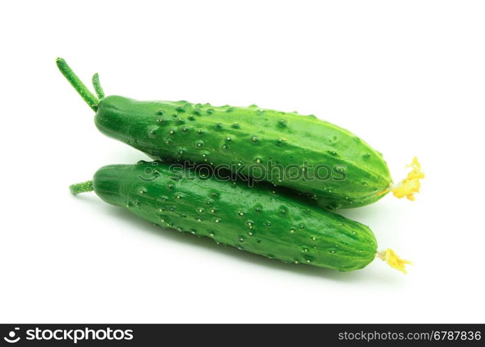 Ripe cucumbers isolated on a white background