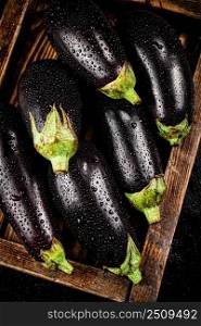 Ripe eggplant on a wooden tray. On a black background. High quality photo. Ripe eggplant on a wooden tray. 