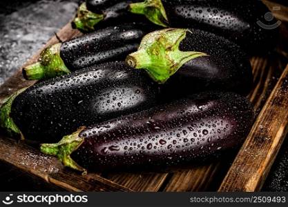 Ripe eggplant on a wooden tray. On a black background. High quality photo. Ripe eggplant on a wooden tray. 