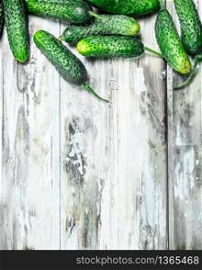 Ripe fresh cucumbers. On white rustic background. Ripe fresh cucumbers.