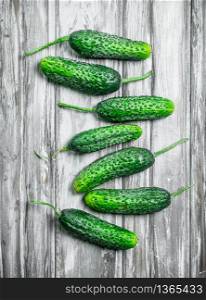Ripe fresh cucumbers. On wooden background. Ripe fresh cucumbers.