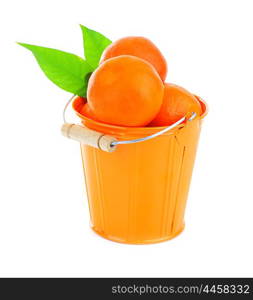 Ripe fresh mandarins in the bucket isolated on white background