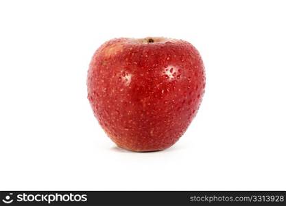 Ripe fresh red apple with water drops, isolated on white