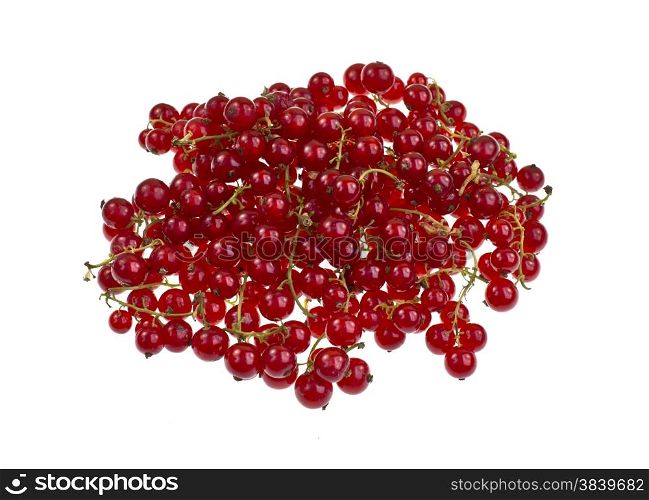Ripe fresh red currant isolated on a white background.