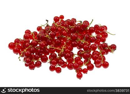 Ripe fresh red currant isolated on a white background.