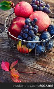 Ripe fruits in the iron basket. Basket of metal rods with ripe apples and grapes