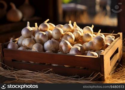 Ripe garlic in a wooden box. Generative AI