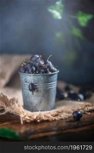 Ripe gooseberries fruit in metal bucket on wooden table. raw food, harvest. Ripe gooseberries fruit in bucket on wooden table