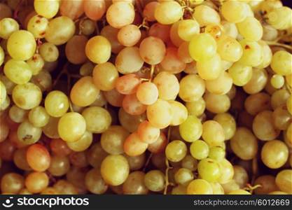 Ripe Grapes
