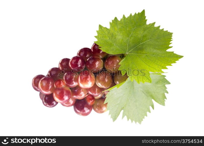 Ripe grapes with leaf, isolated on white background. (with clipping work path)