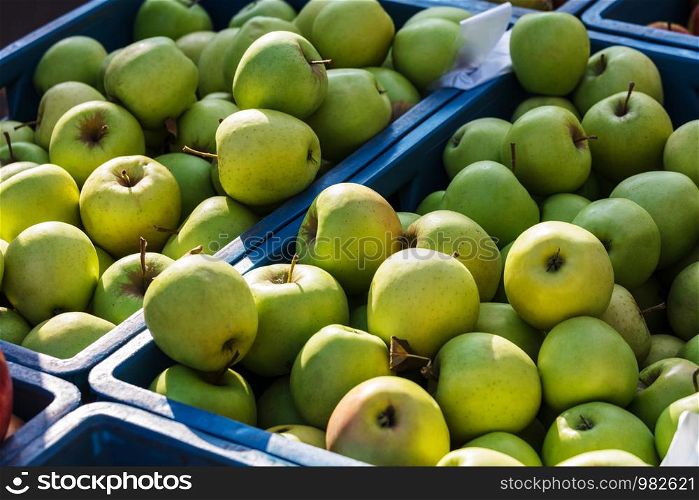 ripe green apples at the farmers market