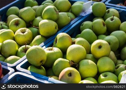 ripe green apples at the farmers market