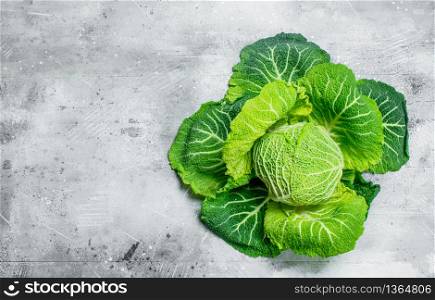 Ripe green cabbage . On rustic background. Ripe green cabbage .