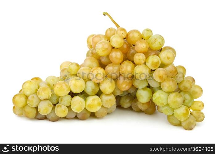 Ripe green grapes isolated on the white background