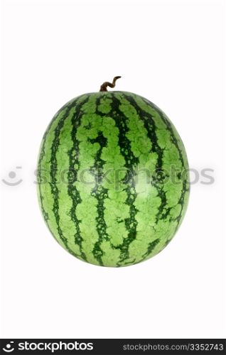 ripe green striped watermelon, isolated