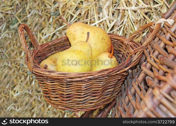 Ripe Juicy and flavorful pears in basket