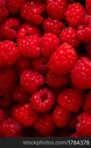 Ripe, juicy and sweet raspberries as a background photo. Ripe, juicy, tender and sweet raspberries as a background photo
