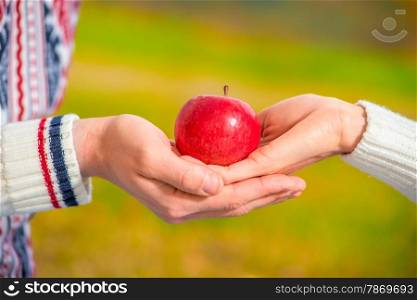 ripe juicy apple in the hands of a loving couple close-up