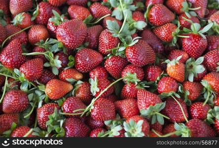 Ripe juicy strawberries closeup. Great background for a label jam, berry jam, strawberry juice, fruit wine. Ripe juicy strawberries closeup. Great background for a label jam, berry jam, strawberry juice, fruit wine.
