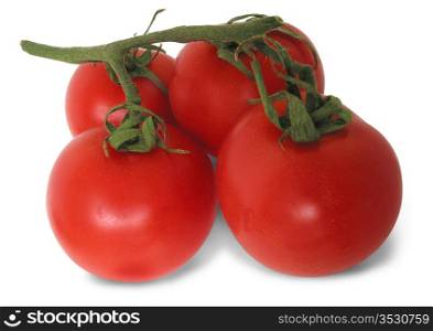 Ripe juicy tomatoes on green stem on the white background