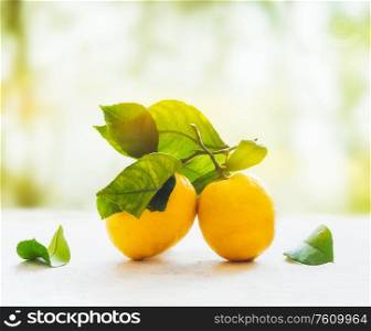 Ripe lemons with green leaves on white table at blurred summer nature background. Organic citrus fruits. Healthy lifestyle