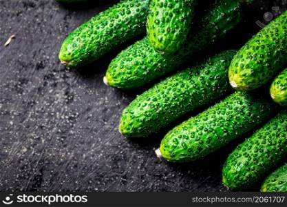 Ripe little cucumbers on the table. On a black background. High quality photo. Ripe little cucumbers on the table.