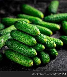 Ripe little cucumbers on the table. On a black background. High quality photo. Ripe little cucumbers on the table.