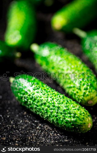 Ripe little cucumbers on the table. On a black background. High quality photo. Ripe little cucumbers on the table.